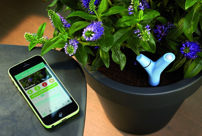 Genuino-Flower-Power