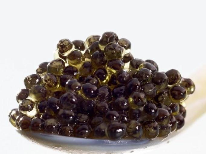 caviar